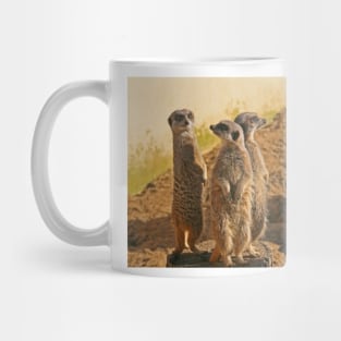 Compare the Meerkats Mug